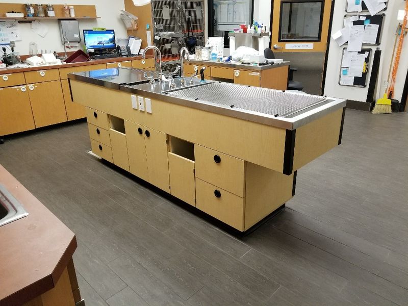 Installed veterinary wet table island with a stainless steel top and light wood cabinets in a vet clinic